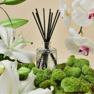 Duftpinner 100ml, Mokara