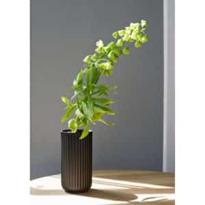 Lyngbyvase Porselen 15,5cm, Svart