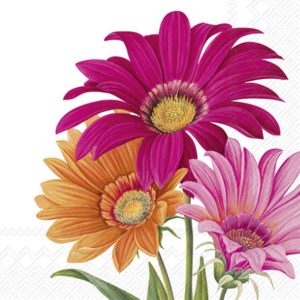 Lunsj serviett Joyful Gerbera White