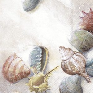 Lunsj Serviett Shells On The Beach