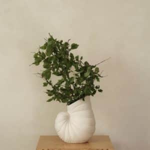 Shell vase - off white