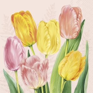 Lunsj Serviett Spring Tulips Rose