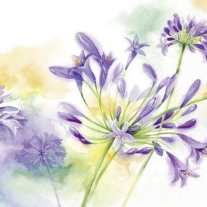 Lunsj serviett Agapanthus