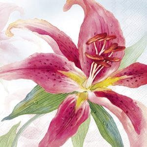Lunsj Serviett Exotic Lily