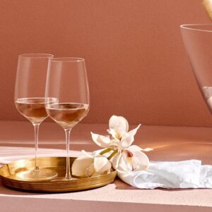 STEM ZERO MASTER VINGLASS 42 CL NUDE GLASS