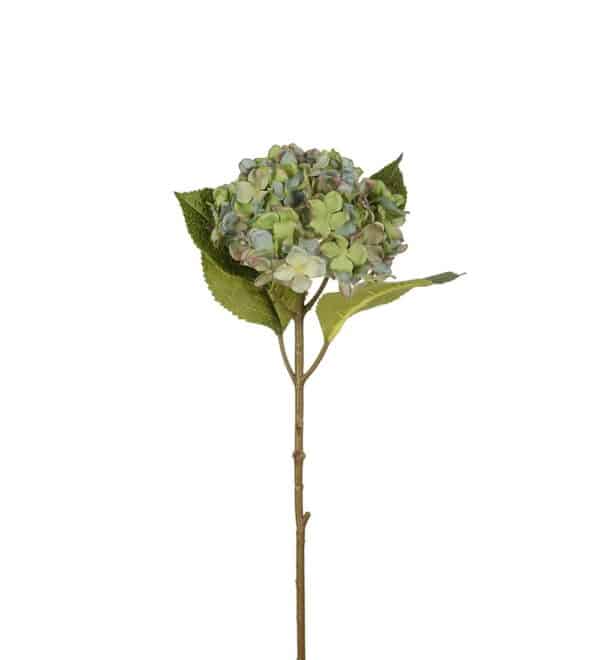 Hortesia Blå 40cm