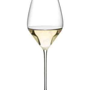 DOM PÈRIGNON CHAMPAGNEGLASS