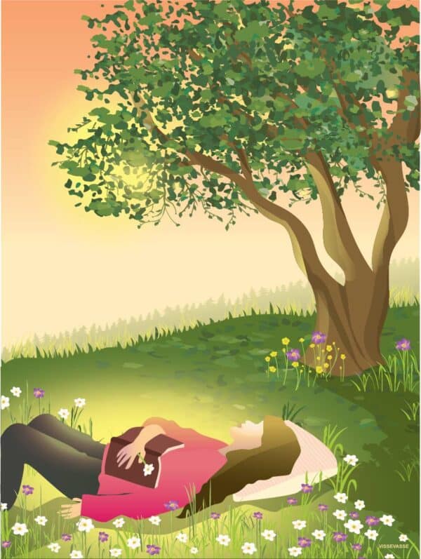 POSTER TAKING A NAP 30X40 CM VISSEVASSE