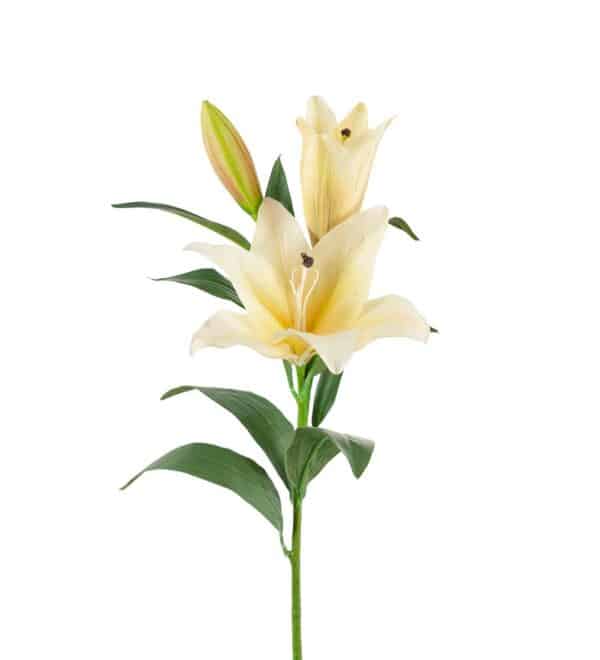 Gul Lilje 90cm