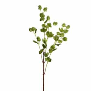 Humle kvist 90cm