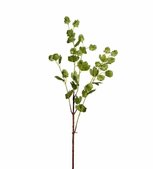 Humle kvist 90cm