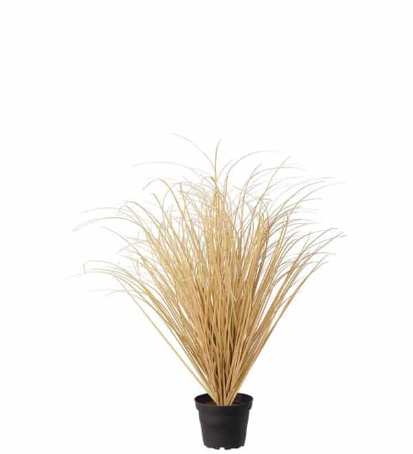 Beige Gress i Potte 50cm