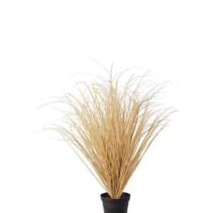 BEIGE GRESS I POTTE 50 CM MR PLANT