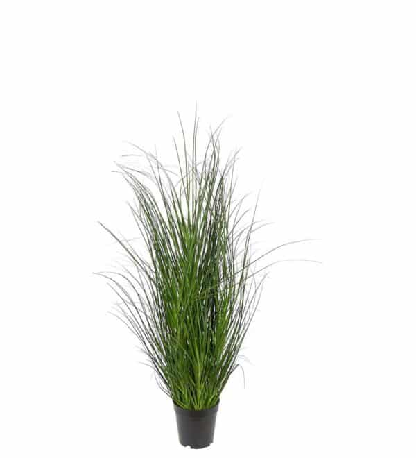 Grønt gress i Potte 90cm