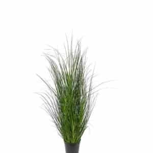 GRØNT GRESS I POTTE 90 CM MR PLANT