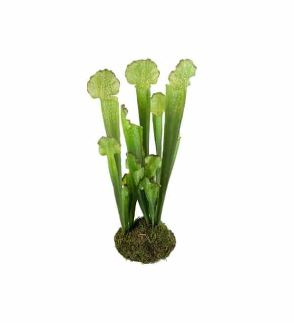 Fluefanger 28cm
