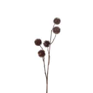 PLATAN KVIST 65 CM MR PLANT