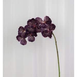 Orchid (7 heads) Burgundy