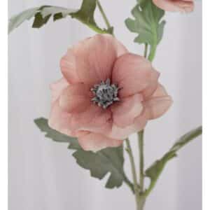 Poppy Dusty Rose