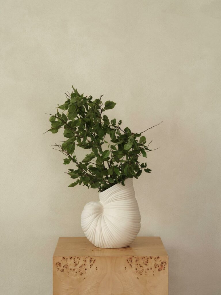 Shell vase – off white