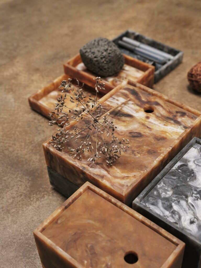 Mist box 15×20 Sugar Kelp