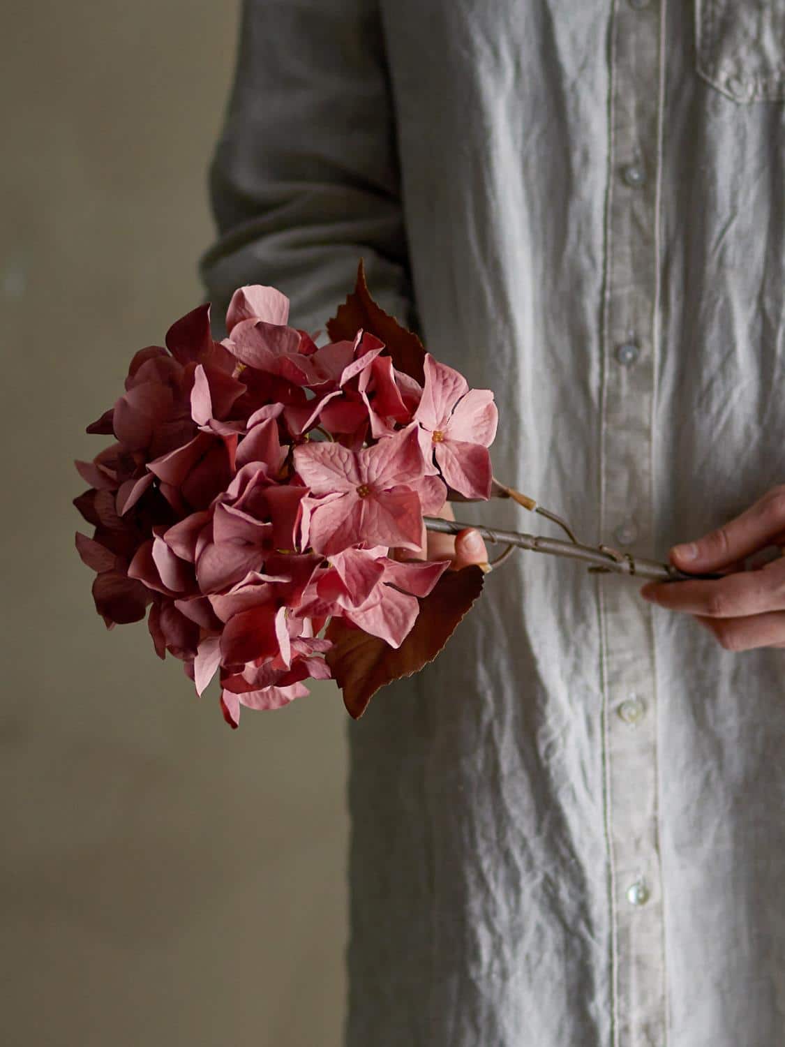 Hortensia stilk, Rosa, 20x65cm