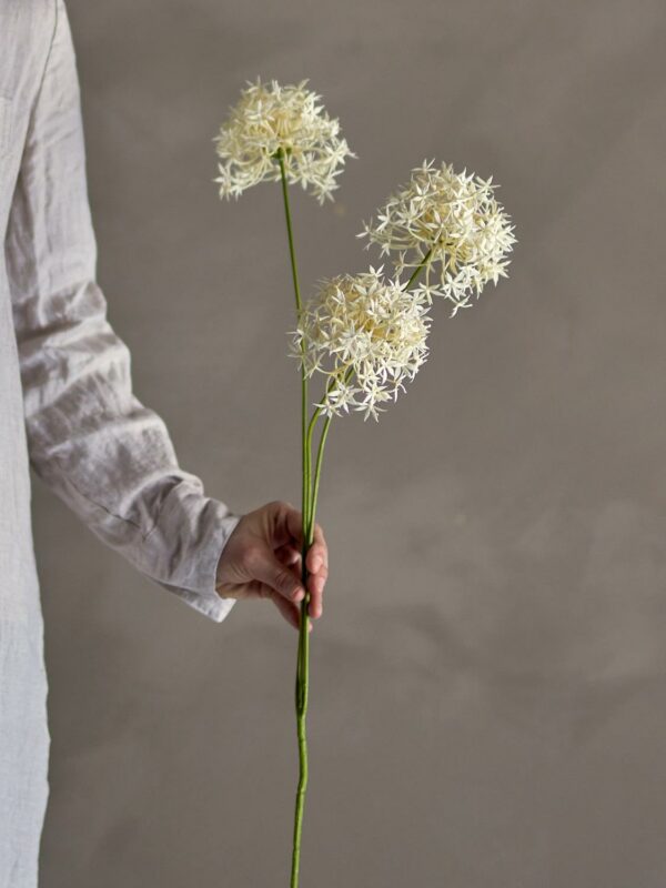 Allium stilk, Hvit, 18x63,5cm