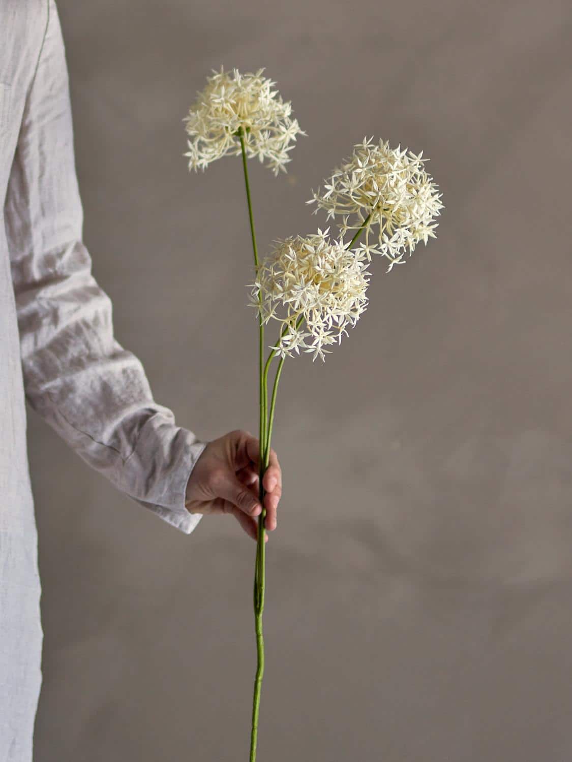 Kunstige Blomster, Allium stilk, Hvit, 18×63,5cm