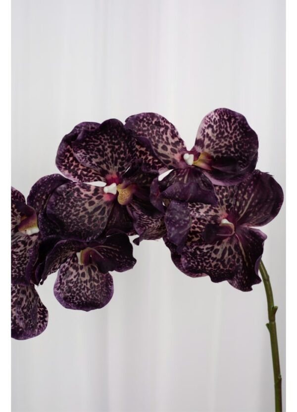 Orchid (7 heads) Burgundy - Bilde 2