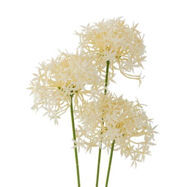 Allium stilk, Hvit, 18x63,5cm - Bilde 2