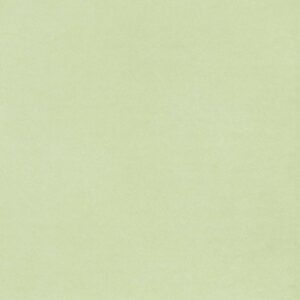 Serviett Tekstiltouch Middag 12 stk, Opal Green