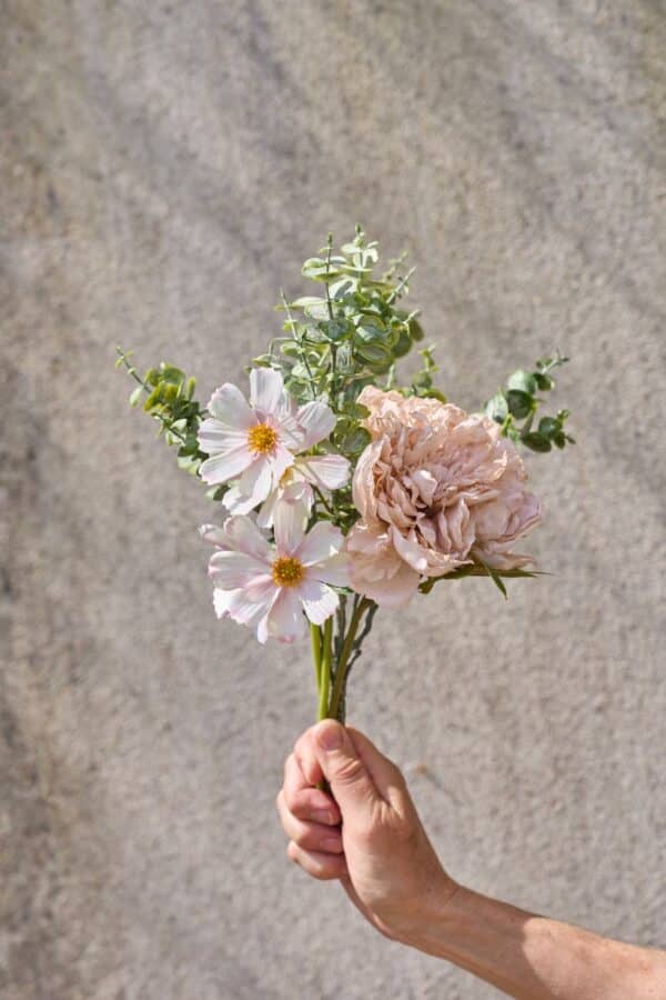 Peon Stilk Rosa 26 cm