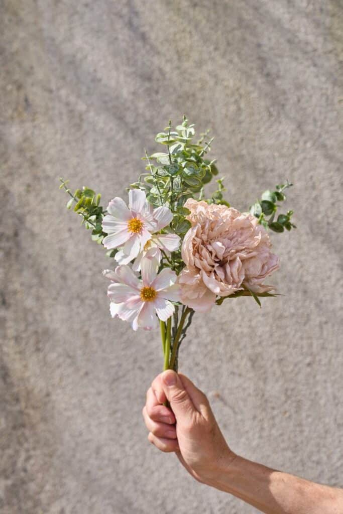 Peon Stilk Rosa 26 cm