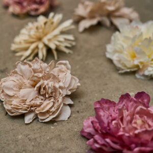Peon Uten Stilk Rosa/Lilla