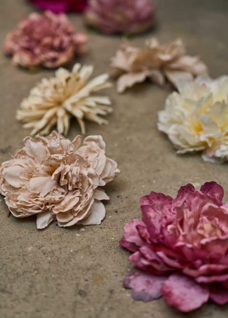 Peon Uten Stilk Rosa/Lilla