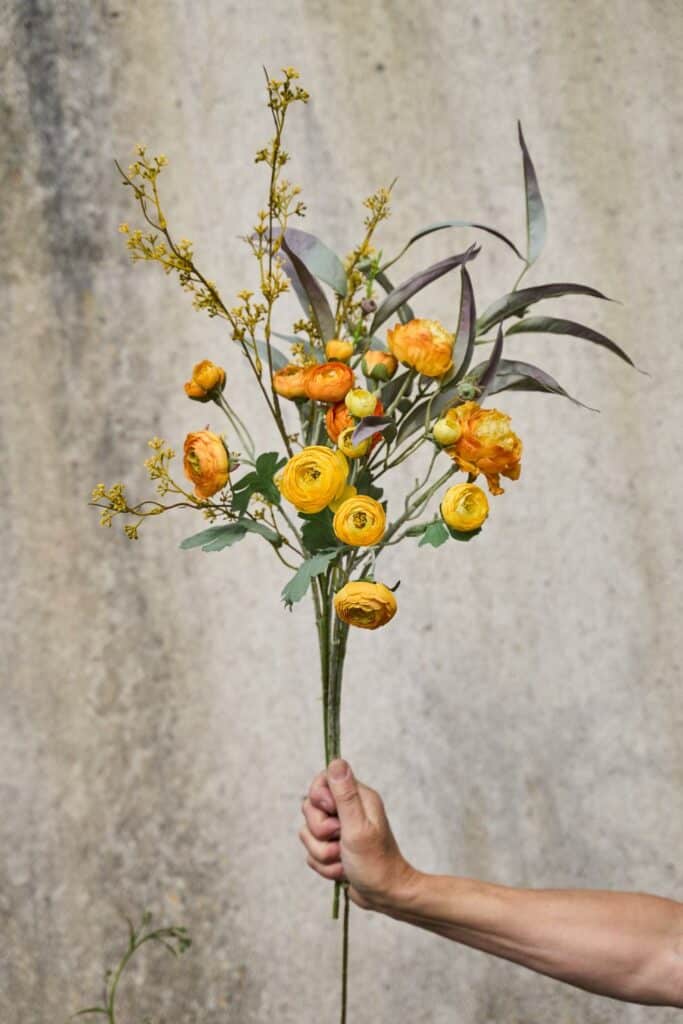 Eucalyptus Stilk 70 cm