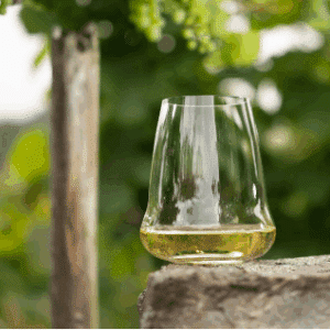Utgående, Winewings Steamless Riesling/Champagne 6stk