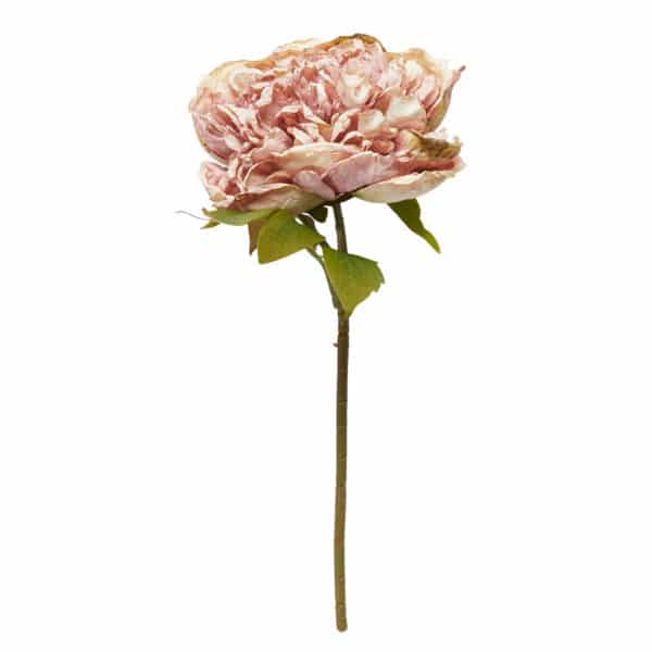 Peon Stilk Rosa 26 cm - Bilde 2