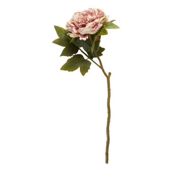 Peon Stilk Rosa 46 cm - Bilde 2