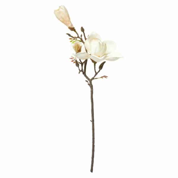 Magnolia Stilk 58 cm - Bilde 2