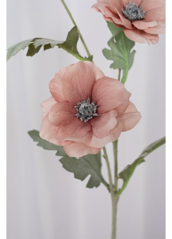 Poppy Dusty Rose
