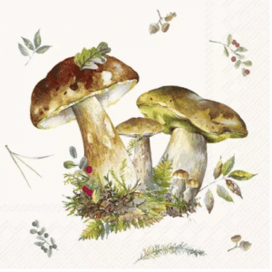 Cocktailservietter Mushroom Collection