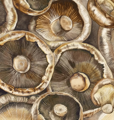 Lunsj Serviett Mushrooms
