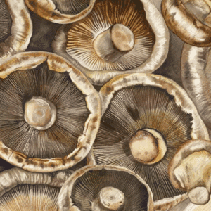 Lunsj Serviett Mushrooms