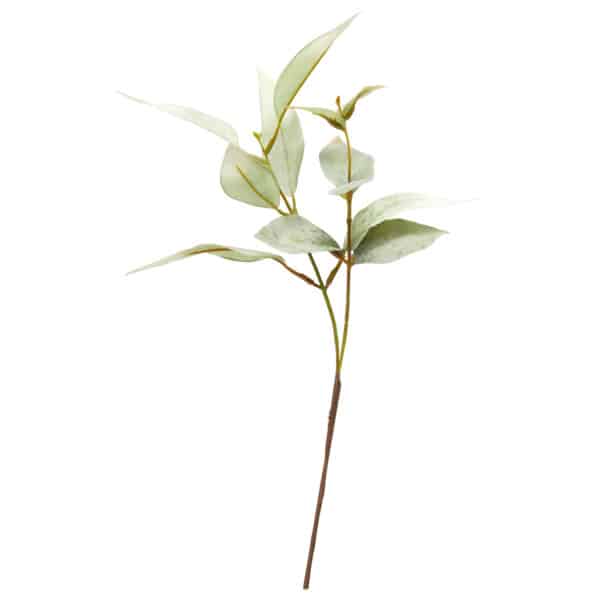 Eucalyptus Stilk 38 cm - Bilde 2