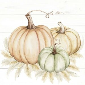 Lunsj serviett, Pumpkin Trio