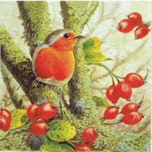 Lunsj serviett, Robin In The Forest