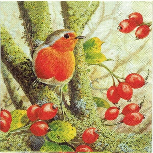 Lunsj serviett, Robin In The Forest