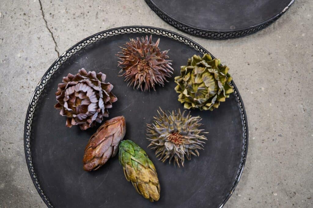 Protea uten stilk, ass D12cm