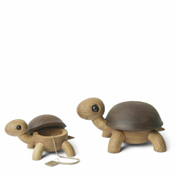 Speedy Babyskilpadde - Bilde 2
